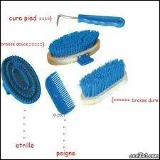 Quel est le bon ordre de pansage pour les brosses ?