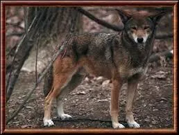 Qu'en est-il de la seconde ?