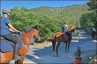 Quelle distance dois-tu tenir entre deux chevaux ?