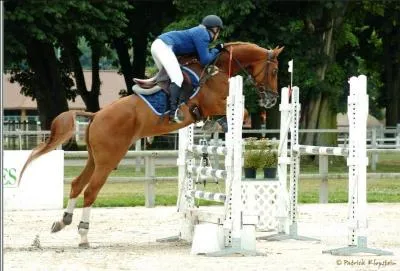 Que signifie "CSO" ?