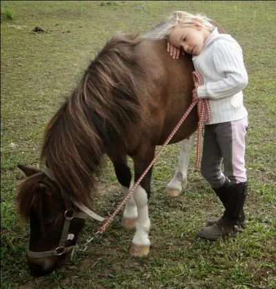 Peut-on s'asseoir pour faire brouter son poney ?