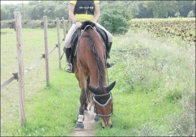 Est-il important de respecter les règles de sécurité ?
