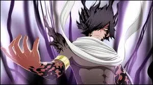 Il est un Dragon Slayer de l'ombre de troisième génération, il fait partie des 5 mages les plus puissants de Sabertooth et est membre des Dragons Jumeaux. Qui est-ce ?