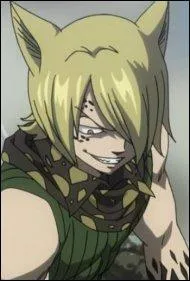 Il est un démon de la guilde Tartaros et une des neuf portes démoniaques, c'est lui qui a assassiné les membres du Conseil. Qui est-ce ?