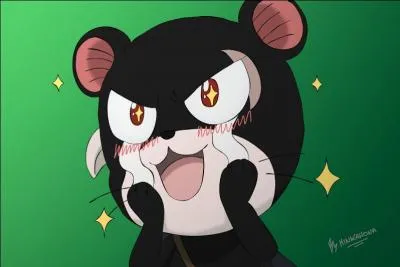 Il était un des commandants de l'armée royale d'Edolas et est actuellement un membre de Fairy Tail et l'Exceed de Gajeel. Qui est-ce ?