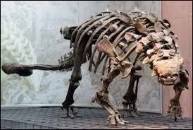 Ll y a combien d'années ce dinosaure vivait-il ?