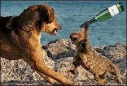 Endroit fictif ou non, prévu pour que des personnes puissent discuter de divers sujets, en toute convivialité !