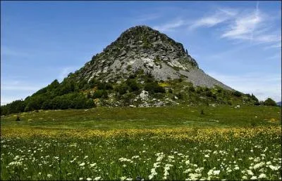La Loire, le plus long fleuve de France, prend sa source au mont Gerbier-de-Jonc, dans le département de Haute-Loire.