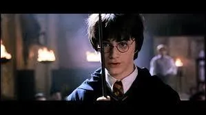 Quand pour la première fois Harry découvre-t-il qu'il parle aux serpents ?