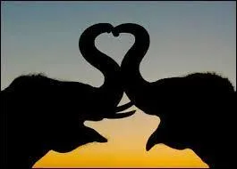 Qui a dit cela ? « Si on ne voulait qu'être heureux, cela serait bientôt fait. Mais on veut être plus heureux que les autres, et cela est presque toujours difficile parce que nous croyons les autres plus heureux qu'ils ne sont »