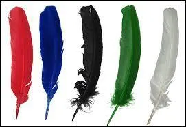 Qu'en est-il du collectionneur de plumes ? C'est un :