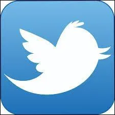 Est-il possible d'envoyer des messages sur Twitter ?