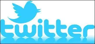 Quel mois a vu son lancement sur Internet ?