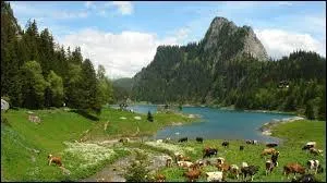 Comment la présidente de la Confédération s'appelle-t-elle ?