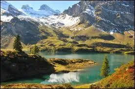 Laquelle de ces langues n'est pas une langue officielle en Suisse ?