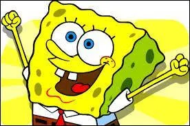 Quelle est la forme de Bob ?