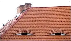 Mon ... est tout neuf !