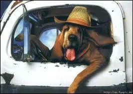 En plus de nos trois amis, quel autre personnage se trouvait dans la première voiture ?