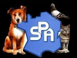 La SPA (Société protectrice des animaux) a été créé en 1880.