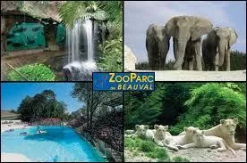 Le ZooParc de Beauval possède la plus grande collection animalière de France.