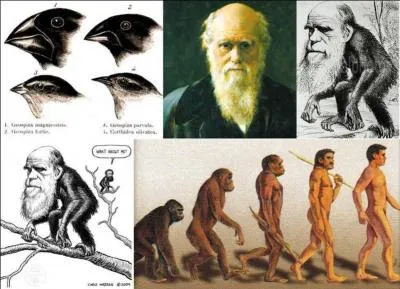 Pour moi, ce voyage a tout changé. Parti inconnu pour ce tour du monde, je reviens célèbre en Grande-Bretagne. Je me ferais haïr par certains, car j'ai osé émettre une théorie s'opposant aux textes sacrés.
Qui est-il ?