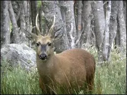 Combien sont-ils dans chaque groupe ?