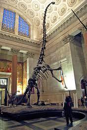 Quiz Dinosaures