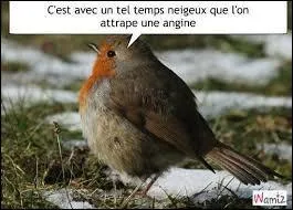 Habite-t-il à La Réunion ?