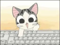 Comment Chi se fait-il repérer ?