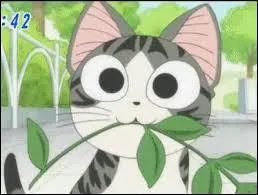 Chi part de sa maison et va dans un parc, que fait-il ?