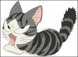 Que fait le maître de Chi après être allé chez le vétérinaire ?