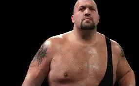 Quelle année a vu le commencement de sa carrière professionnelle ?