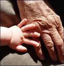 Qui a dit cela ? « La jeunesse est le temps d'étudier la sagesse, la vieillesse est le temps de la pratiquer »