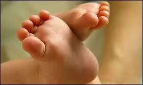 Qui a dit cela ? « Les hommes naissent bien dans l'égalité mais ils n'y sauraient demeurer »