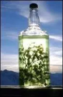 Pour terminer cette petite soirée festive de l'été, je suis obligée de vous faire goûter mon genépi "maison". Combien de brins ai-je fait macérer dans du marc pour obtenir cette bouteille ?