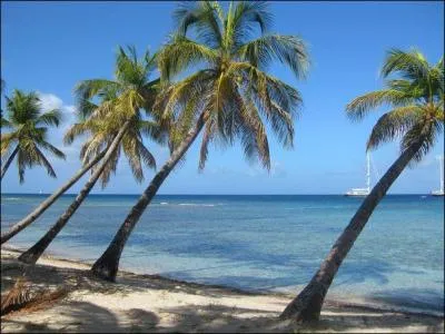 Depuis le bateau vous apercevez la plage de Wallibou, à Saint-Vincent.
Quel genre d'activité estivale pratiquez-vous ?