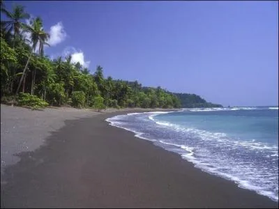 Tout de même une activité culturelle en cette période estivale ! Admirez la couleur du sable alternant entre le gris clair et le noir. 
Mais si vous êtes là c'est que vous voulez voir les nombreuses espèces d'oiseaux du parc Corcovado. Où est-ce ?