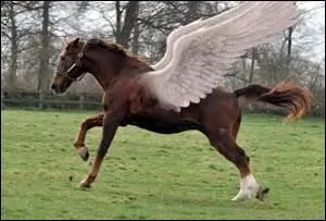 À quelle proposition farniente s'oppose-t-il ?