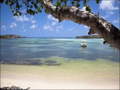 C'est là que vous devez aller faire du snorkeling. Quelle est cette pratique ?