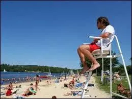 Grand mod&eacute;rateur du site, il veille aussi sur les membres lorsqu'ils se baignent, voici Synapse58 ! Quel r&ocirc;le tient-il, plus exactement ?