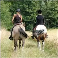 Faire une randonnée équestre - Lequel de ces termes n'a aucun rapport avec le monde du cheval ?