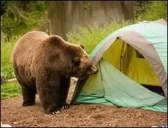 Faire du camping - Qui ne joue pas dans le film "Camping" (2006) aux côtés de Franck Dubosc alias Patrick Chirac ?