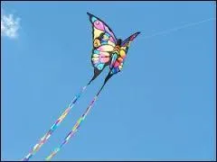 Faire du cerf-volant - Quelle échelle permet de mesurer la vitesse du vent ?