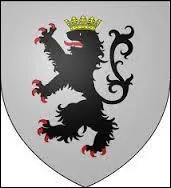 Voici le blason de Maing. Commune de l'arrondissement de Valenciennes, elle se situe dans le département ...