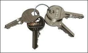 Vous collectionnez des cl&eacute;s, vous &ecirc;tes donc un :