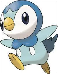 Quel est ce Pokémon ?