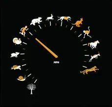 C'est l'humoriste Pierre Palmade qui demandait à ce que l'air joué soit moins martial et surtout que l'heure soit moins matinale. A quelle heure sonne-t-on le clairon à l'armée  ?