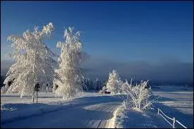 Depuis quelle année la Suède fait-elle partie de l'Union européenne ?