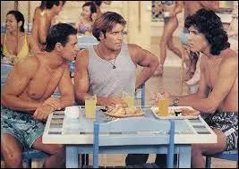 Qui a réalisé la série "Les Garçons de la plage" ?