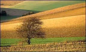 Le Touquet-Paris-Plage est situé dans le Pas-de-Calais, en région Nord-Pas-de-Calais.